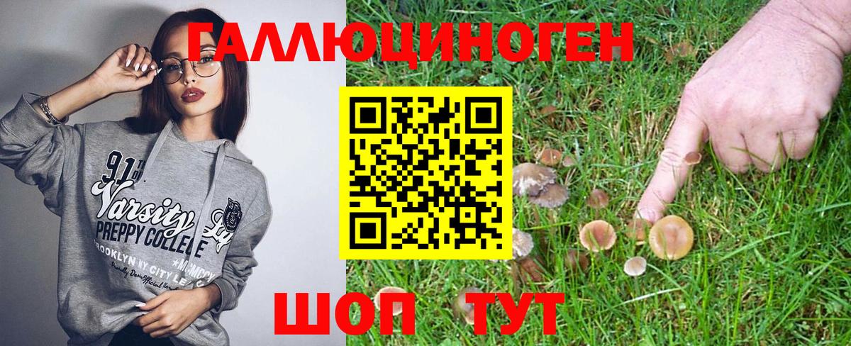 Майский  Галлюциногенные грибы Psilocybe  Вход с VPN 
