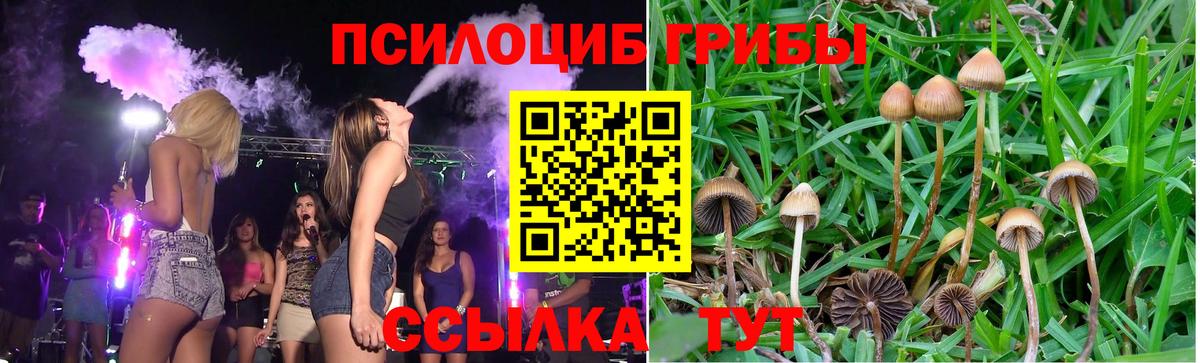 Псилоцибиновые грибы прущие грибы Майский